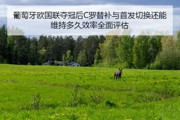 葡萄牙欧国联夺冠后C罗替补与首发切换还能维持多久效率全面评估